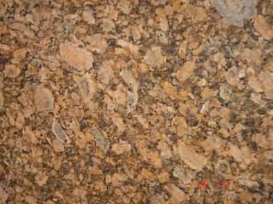 Giallo Fiorito Ouro Minas