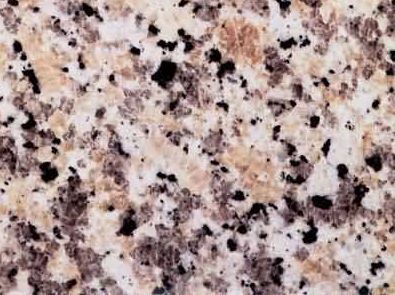 Grigio Sardo Champagne