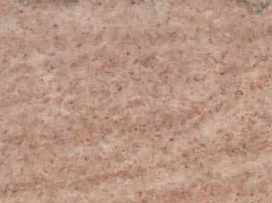 Tennessee Light Rose