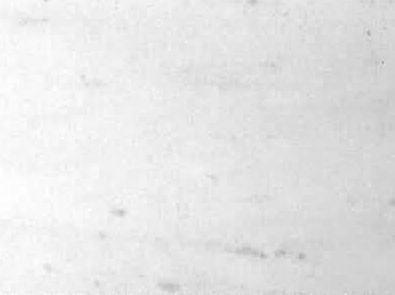 White of Limenas Thassos