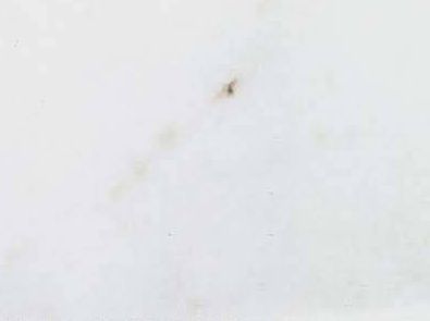 Marmore Branco Extra