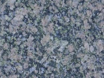 Tropical Flower plus