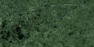 Verde Guatemala Forest