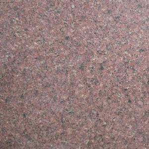 ������ ���