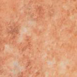 Rosa Perlino (Perlino Rosato)