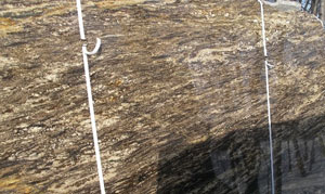 Golden Tyunder Saturnia