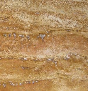 Travertine Gold