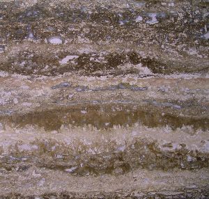 Travertine Volnut