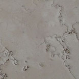 Rosa Perlino (Perlino Rosato)