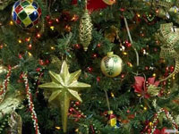 � ����� 2012 �����!