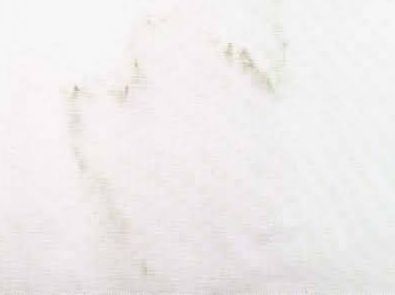 Bianco Arni