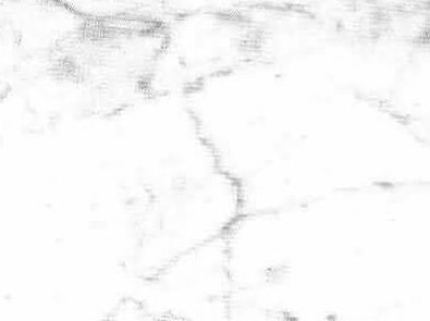 Bianco Carrara Venato Gioia
