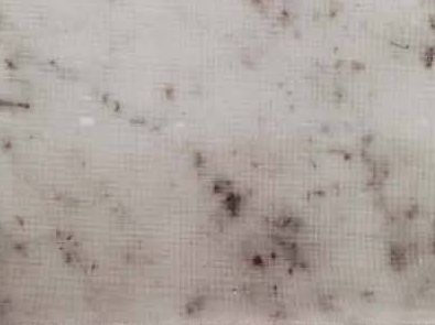 Bianco Carrara D