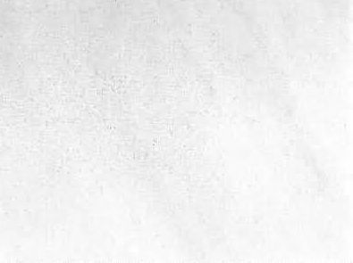 White of Dionissos Pentelikon