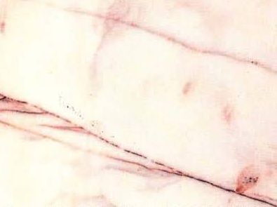 Rosa Salmon