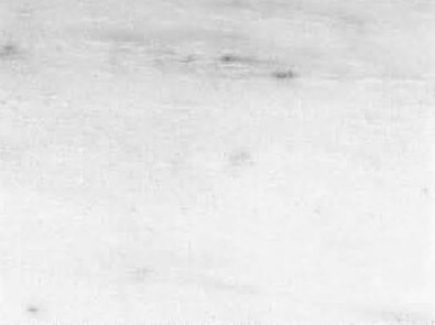 Nestos White