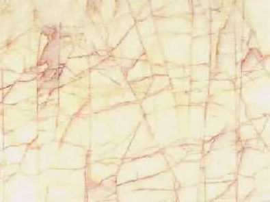 Platanotopos