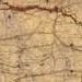 Bedasar Golden Brown