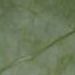 Verde Jade