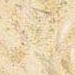Cream Gold