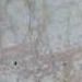 Mikina Beige