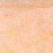 Rosso Luso Borba
