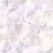 Aloides Semi White