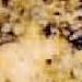 Amarelo Real