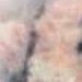 Cats Eye