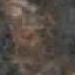Chestnut Brown
