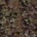 Coraille