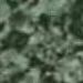 Forest G 022