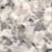 G 1008