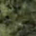 Galaxy Green G 1306