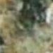 Five Water Lily G 3742 is a Granite