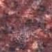 Rosso Loon G 3754