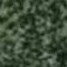 Verde Assoluto G 4101