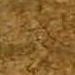 Golden Vinhal