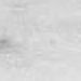 Nestos White
