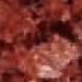New Imperial Red