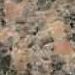 New Mudgee Red
