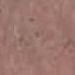 Plain Pink