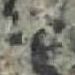 Rakh Green