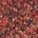 Rojo Altamira