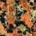 Rosso Toledo