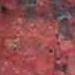 Ruby Red